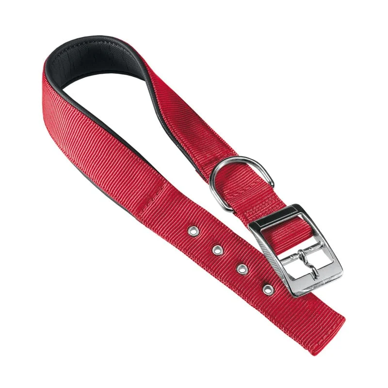 Collare Nylon Daytona C15 35 - Ferplast