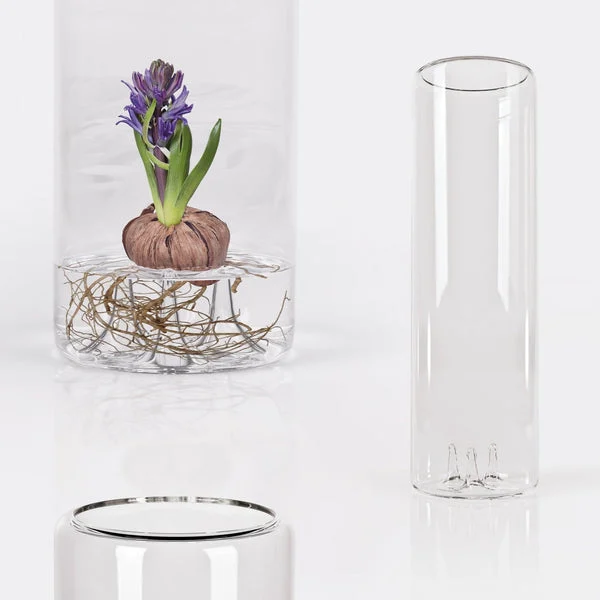 Benia, vaso in vetro per crescita bulbi - Blueside Emotional Design