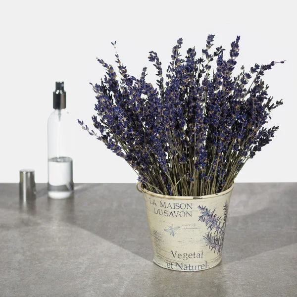 Luberon, lavanda in purezza profumo naturale - Blueside Emotional Design