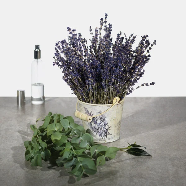 Silvano, ravensare, eucalipto, lavanda profumo naturale 100ml - Blueside Emotional Design