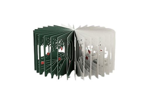 360°BOOK Libro 360° in 3D con Commento Bilingue - Bianco