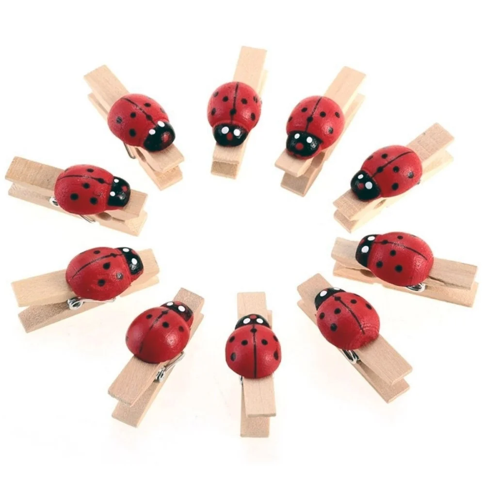 48PZ. MOLLETTA COCCINELLA LEGNO NATURALE BOMBONIERE BIGLIETTI LAUREA COMPLEANNO - TrAdE Shop Traesio