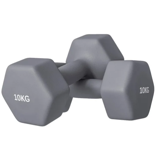 SET 2 MANUBRI ESAGONALI DA 2X10 KG IN METALLO E PLASTICA CON IMPUGNATURA ANTISCIVOLO, 26X12X12 CM, GRIGIO - MAURY'S