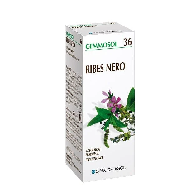 SPECCHIASOL Gemmosol Ribes Nero 100 ml