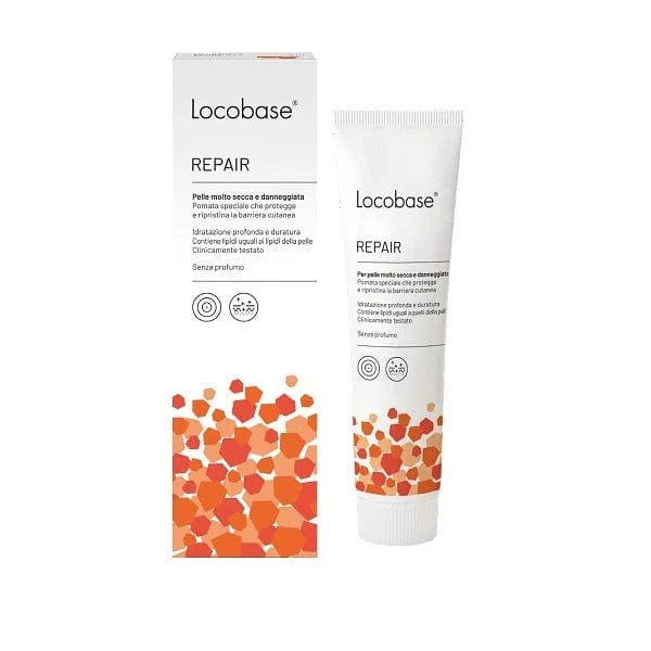 LOCOBASE Repair 100 g