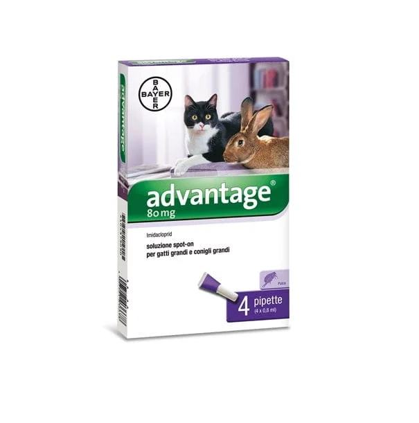 ADVANTAGE Soluzione Spot On 4 Pipette 0,8 ml Gatti E Conigli Grandi