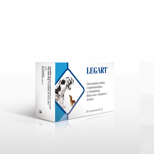 LEGART 30 Compresse Da 1 g