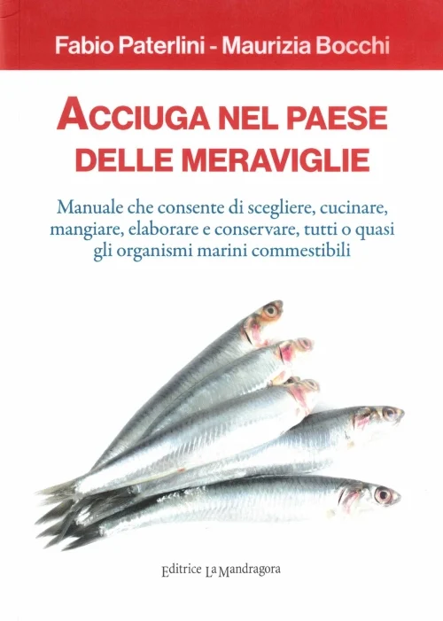 acciuga nel paese delle meraviglie - Libri e DVD