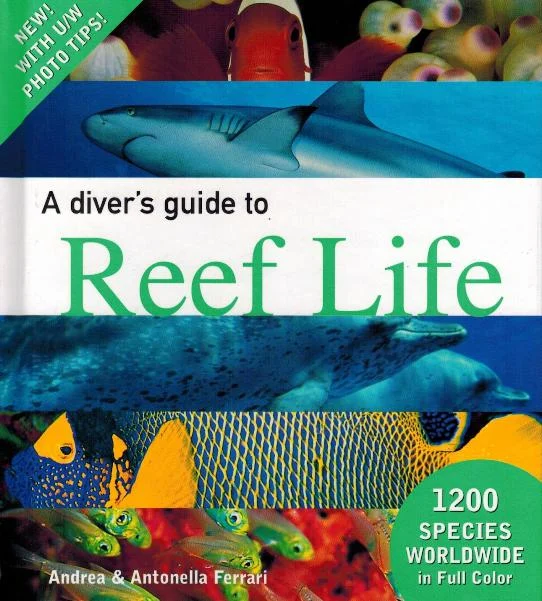 a diver’s guide to reef life - Libri e DVD