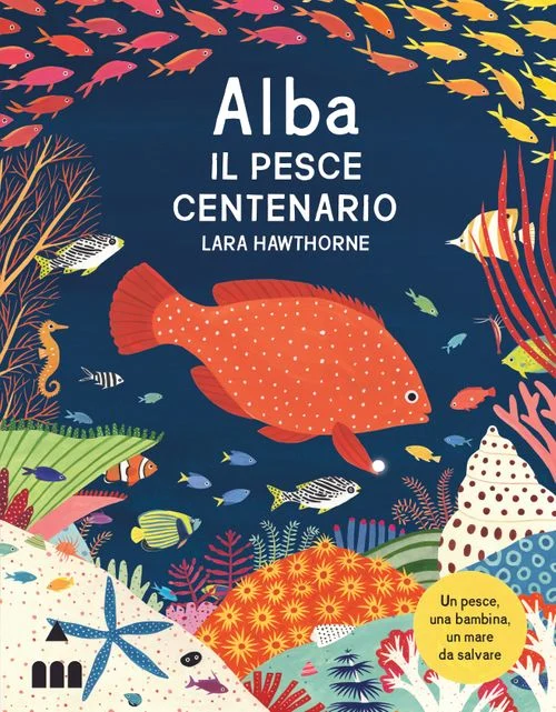 alba il pesce centenario - Libri e DVD