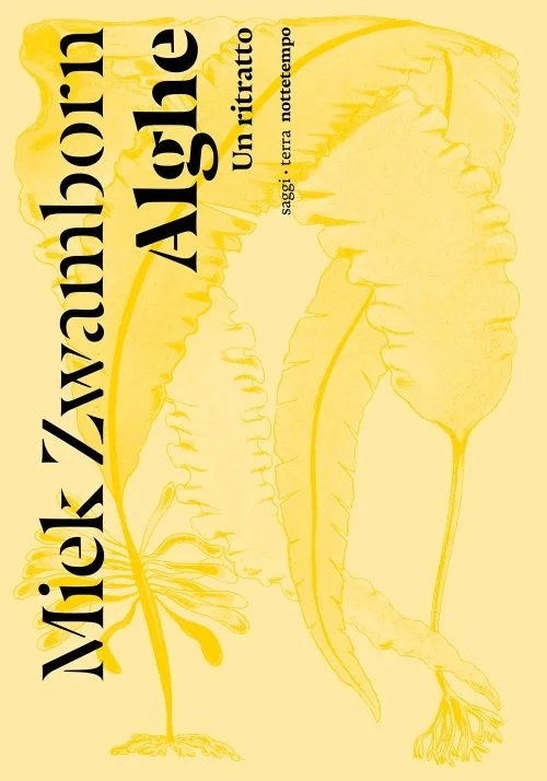 alghe – un ritratto - Libri e DVD