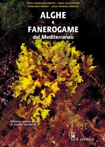 alghe e fanerogame del mediterraneo - Libri e DVD