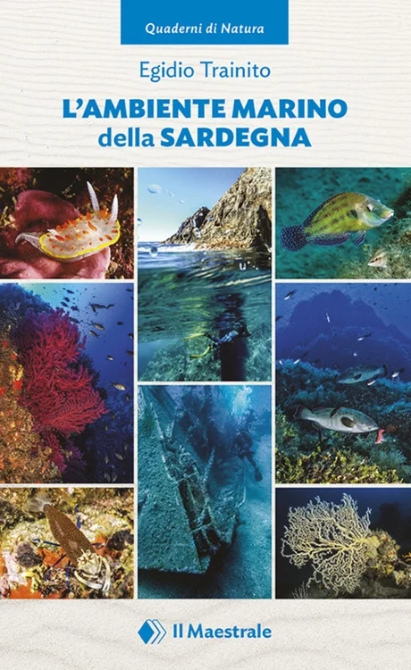 l’ambiente marino della sardegna - Libri e DVD