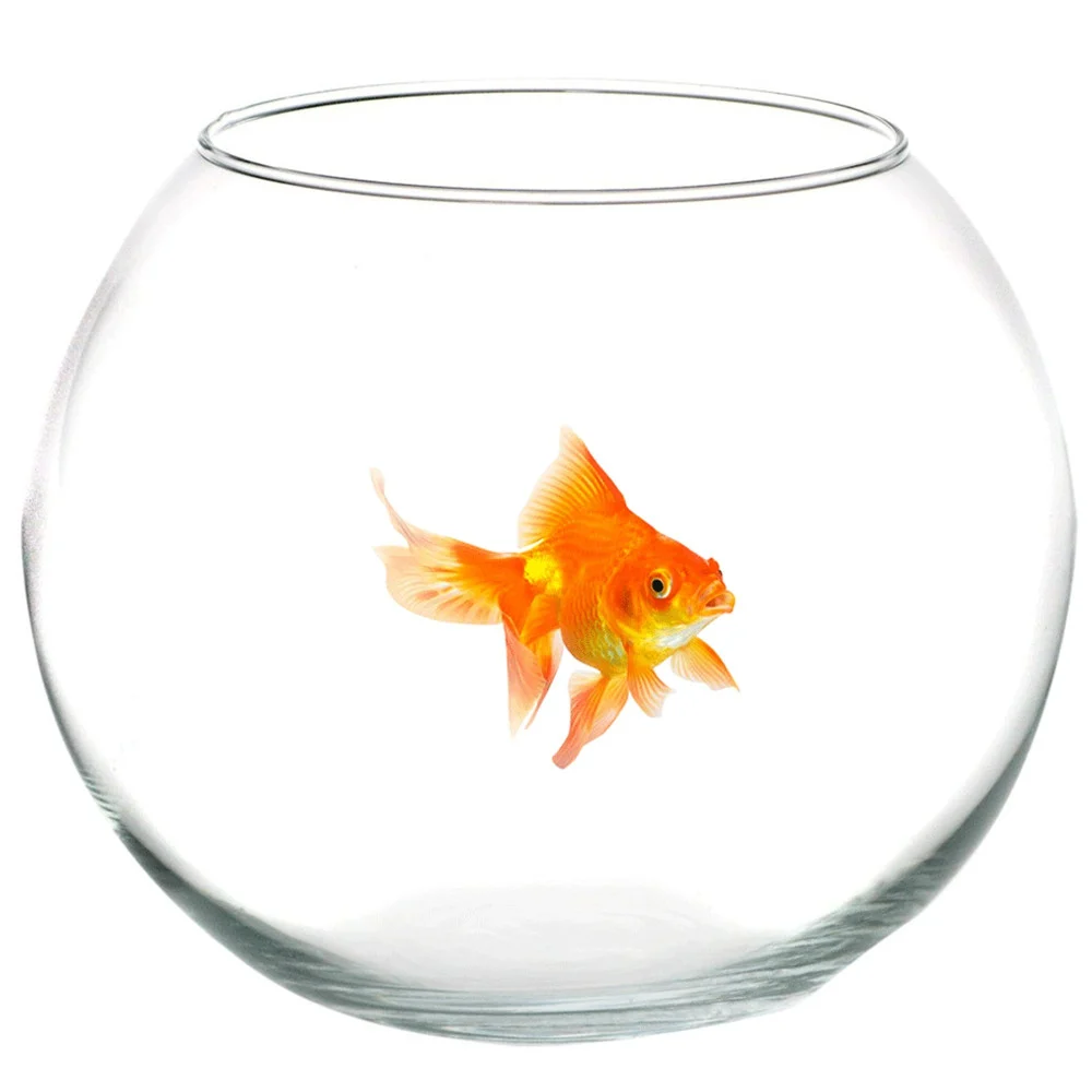 AMPOLLA BOCCIA PER PESCI IN VETRO 35 CM ACQUARIO PESCE ROSSO CENTROTAVOLA - TrAdE Shop Traesio