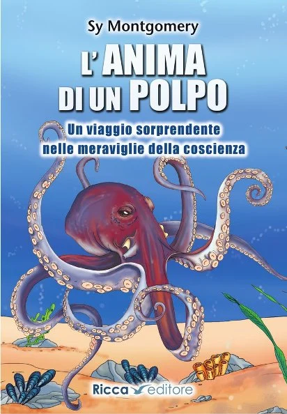 L’anima di un polpo - Libri e DVD