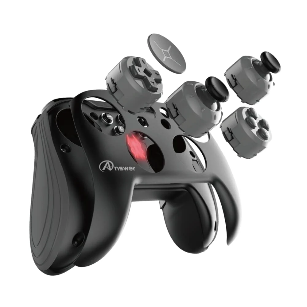 Controller Personalizzato per Nintendo Switch - Nero