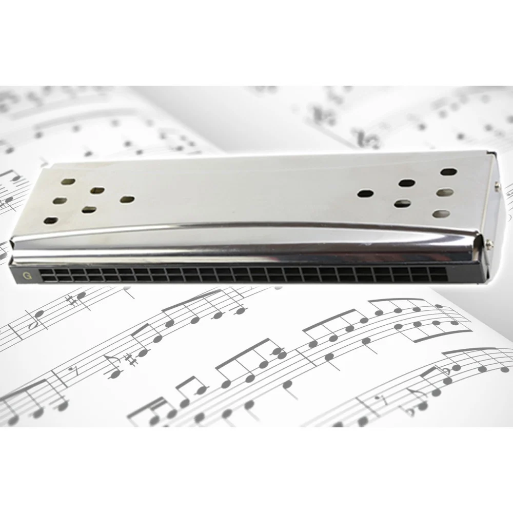 ARMONICA A BOCCA DIATONICA 24 FORI BLUES HARP CHIAVE REED ARGENTO IN DO E SOL + - TrAdE Shop Traesio