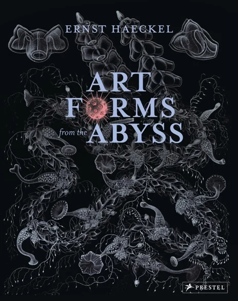art forms from the abyss - Libri e DVD