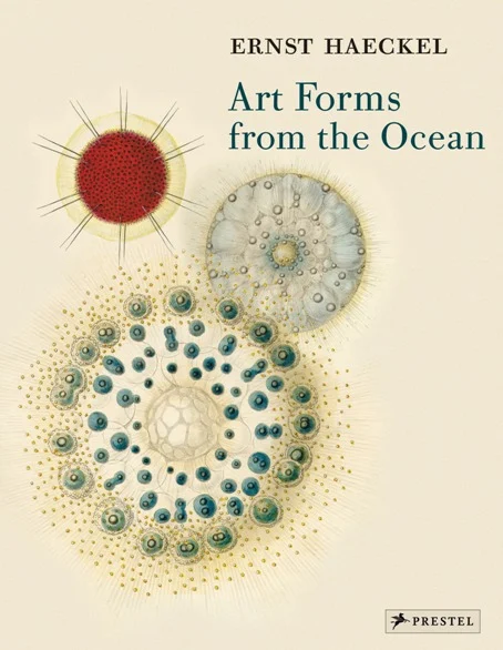 art forms from the ocean - Libri e DVD