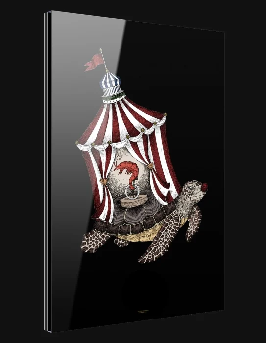 artwork nero tartaruga (collezione searcus) - Arredamento marinaresco