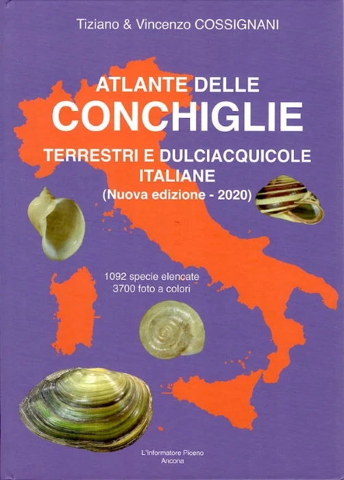 atlante delle conchiglie terrestri e dulciacquicole italiane - Libri e DVD