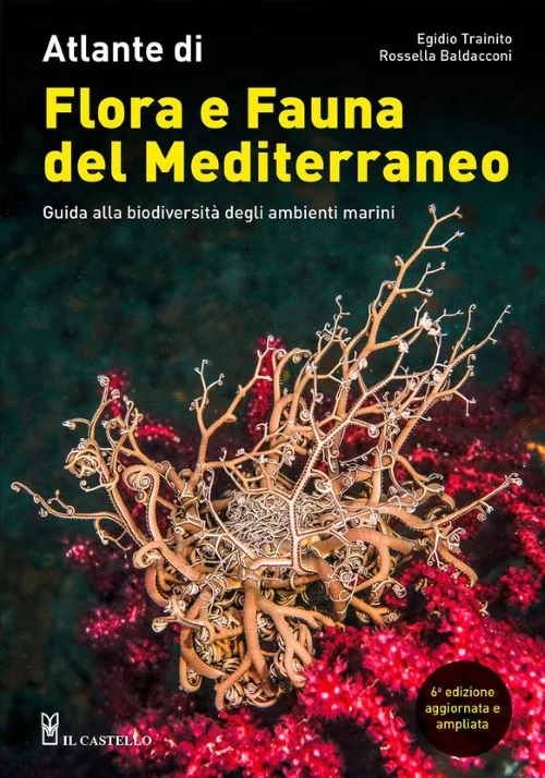 atlante di flora e fauna del mediterraneo - Libri e DVD