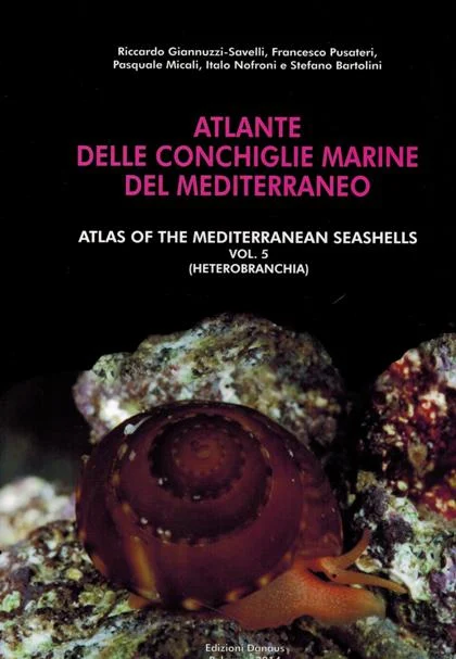atlante delle conchiglie marine del mediterraneo volume V - Libri e DVD