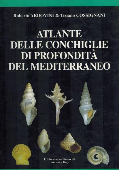 atlante delle conchiglie di profondità del mediterraneo - Libri e DVD