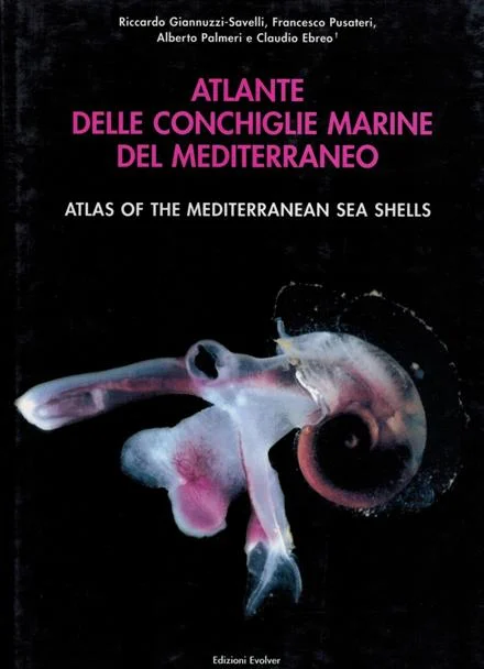atlante delle conchiglie marine del mediterraneo volume II parte prima - Libri e DVD