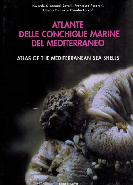 atlante delle conchiglie marine del mediterraneo volume IV - Libri e DVD