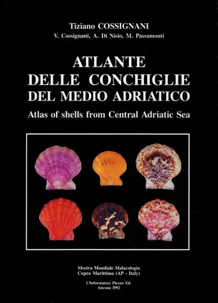atlante delle conchiglie del medio adriatico - Libri e DVD