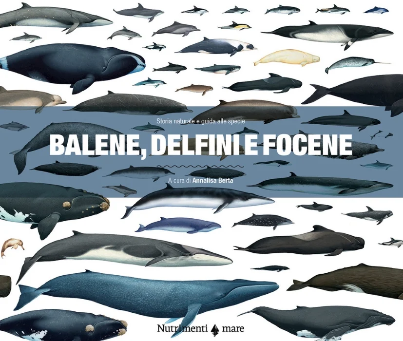 Balene, delfini e focene - Libri e DVD