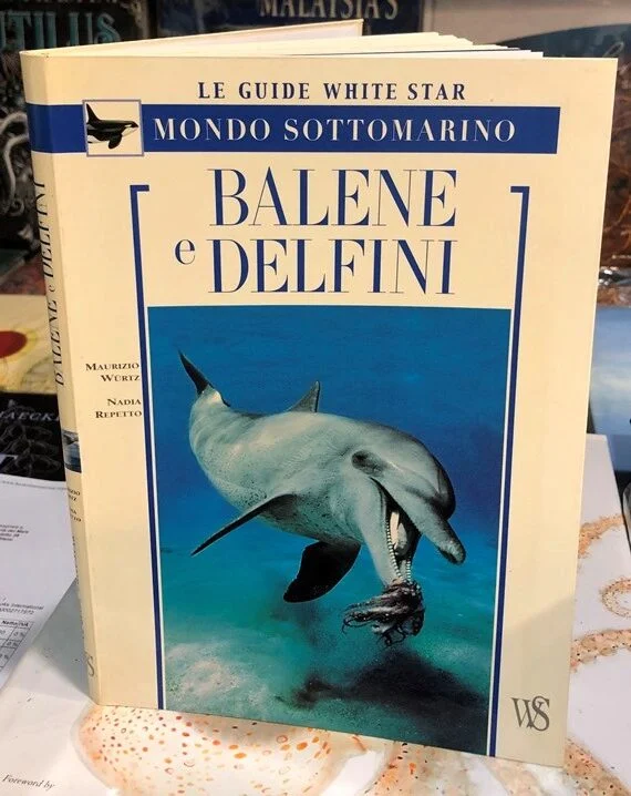 balene e delfini (le guide white star – mondo sottomarino) - Libri e DVD