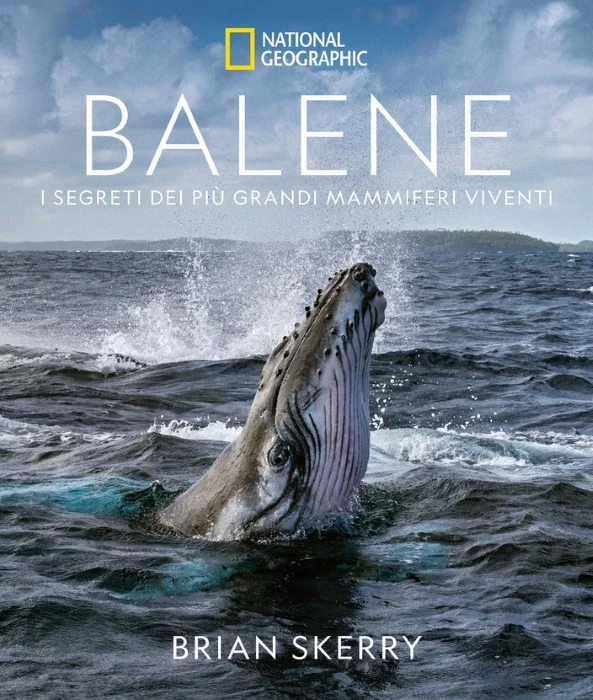 balene - Libri e DVD