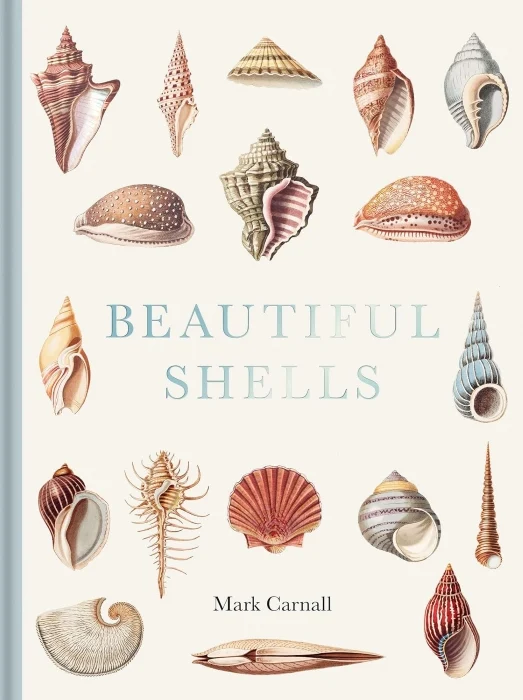 beautiful shells - Libri e DVD