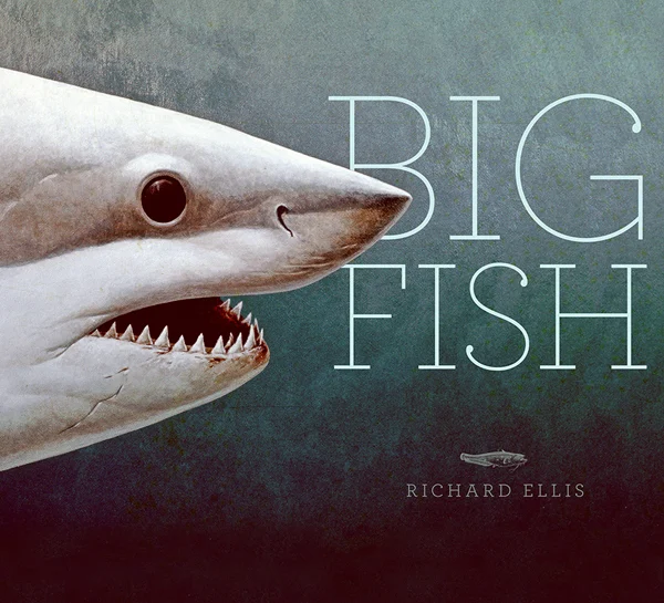 big fish - Libri e DVD
