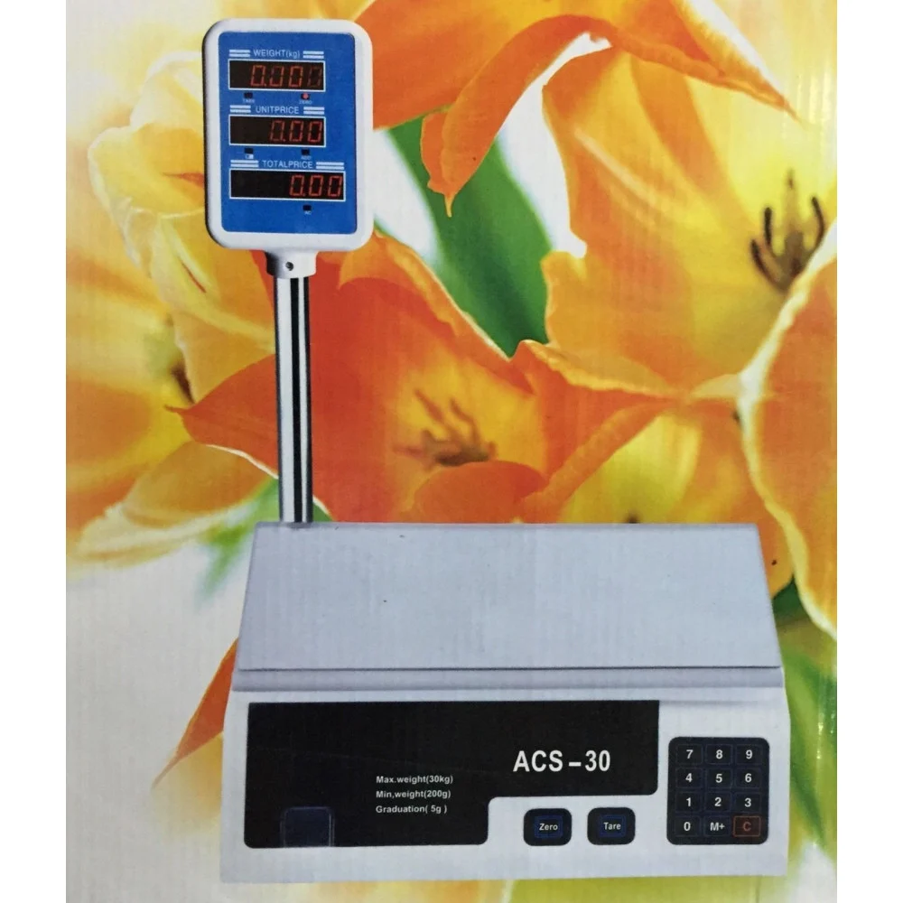 BILANCIA PESA MAX 30 KG DIGITALE ELETTRONICA PROFESSIONALE GRAMMI CHILO CHILI - TrAdE Shop Traesio