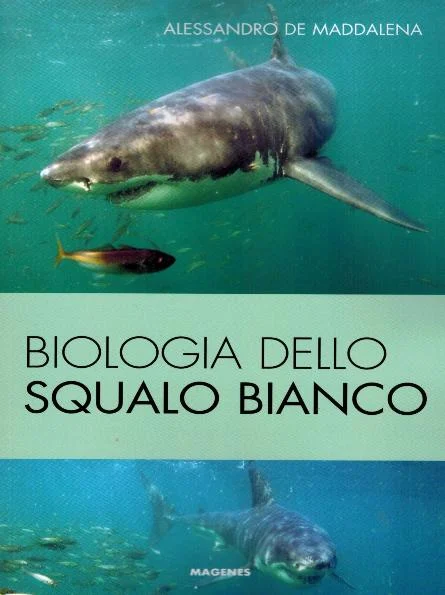 biologia dello squalo bianco - Libri e DVD