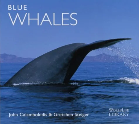 blue whales - Libri e DVD