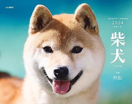 Shiba Inu Calendar 2024 Monthly Wall Hanging 12-Month Planner