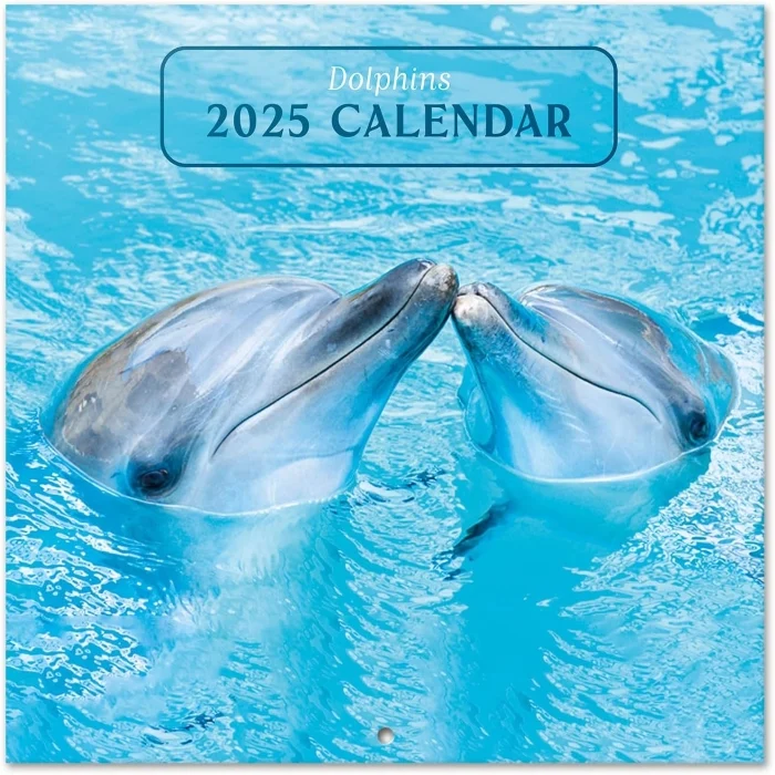 calendario da parete “dolphins” 2025 - Prodotti vari