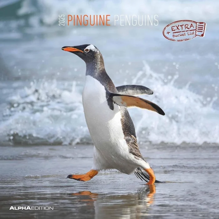 calendario da parete “penguins” 2025 - Prodotti vari