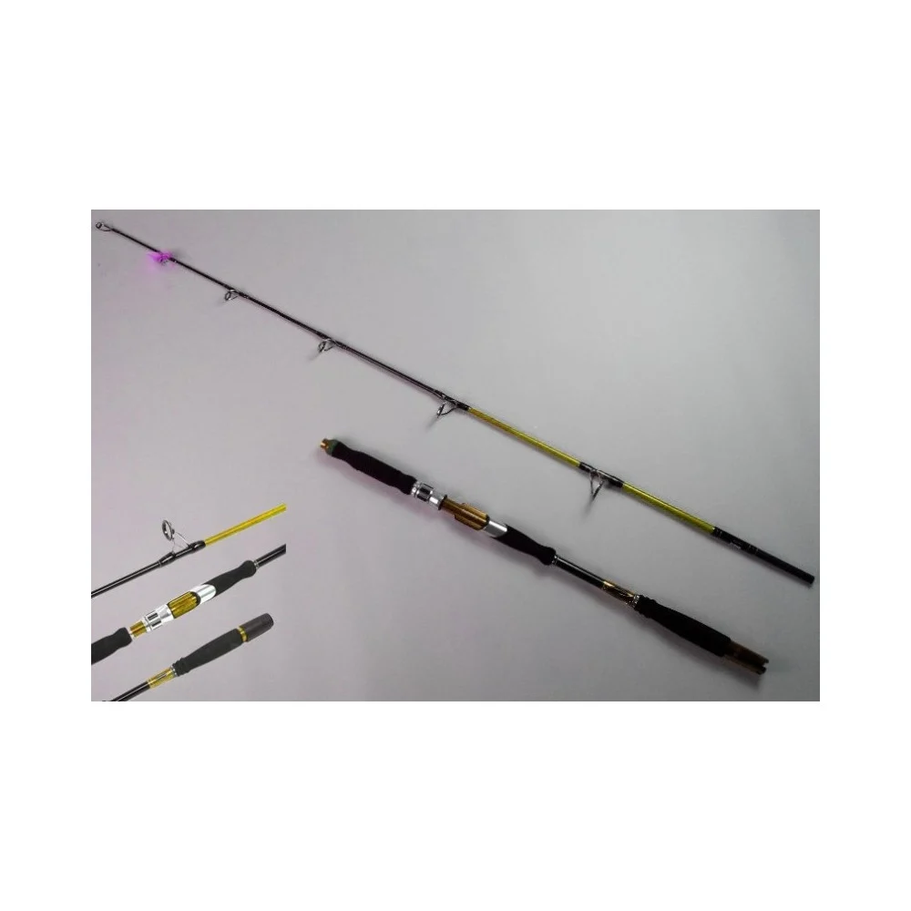 CANNA DA PESCA MARE BARCA LUNGHEZZA 2.4 MT 10/30G TELESCOPICA PORTATILE LEGGERA - TrAdE Shop Traesio