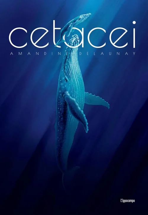 cetacei - Libri e DVD