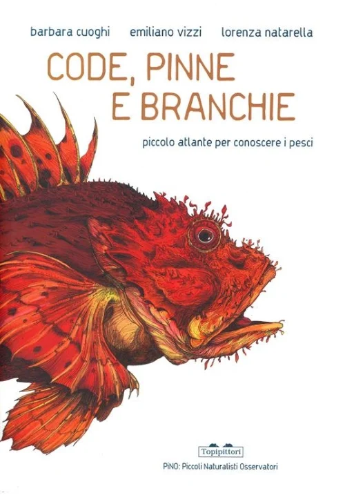 code, pinne e branchie - Libri e DVD