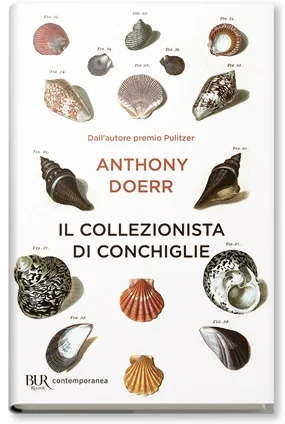 il collezionista di conchiglie - Libri e DVD