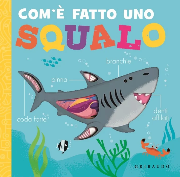 com’è fatto uno squalo - Libri e DVD