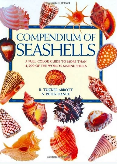 compendium of seashells - Libri e DVD