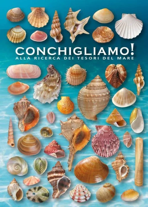 conchigliamo! - Libri e DVD