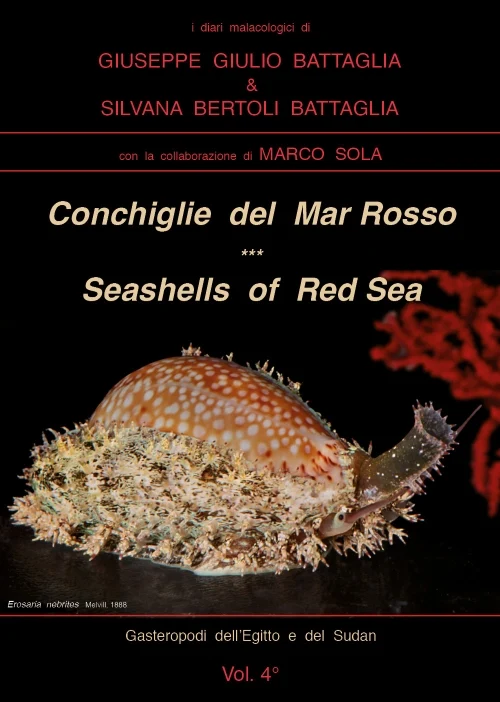 conchiglie del mar rosso - Libri e DVD